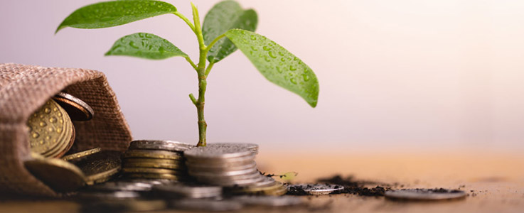 spilled coin bag growing sprout