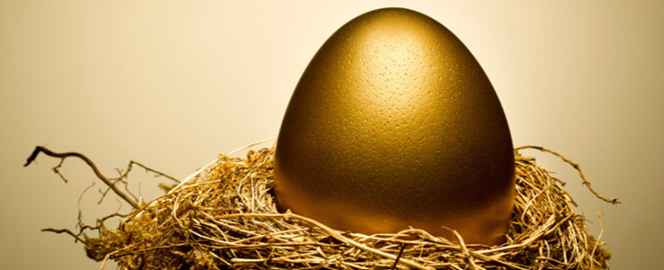 golden egg in nest