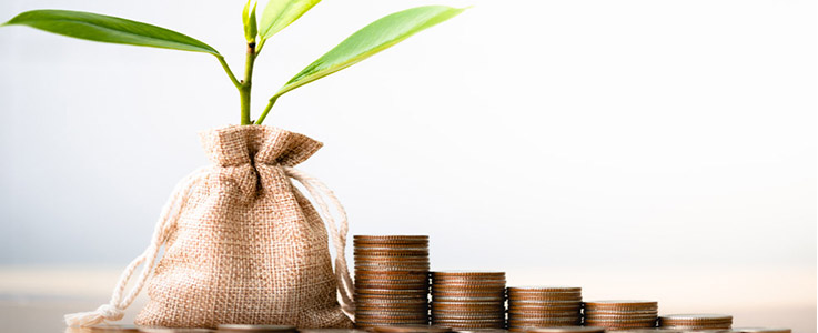 stacks of coins with sprouting money bag