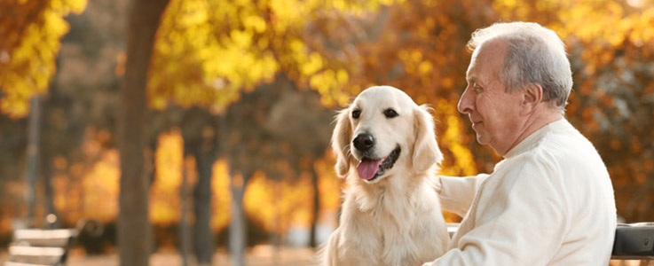 retired man and dog at park