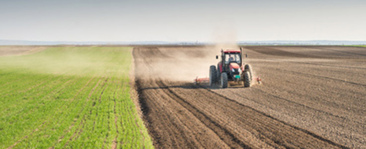 tractor plowing field